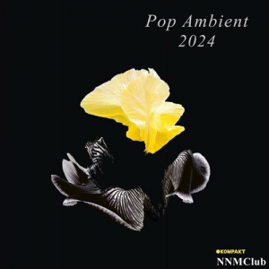VA - Pop Ambient 2024