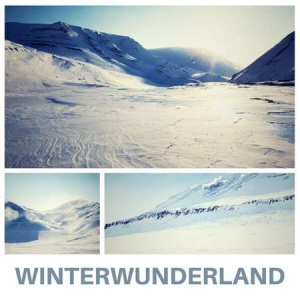 VA - Winterwunderland 