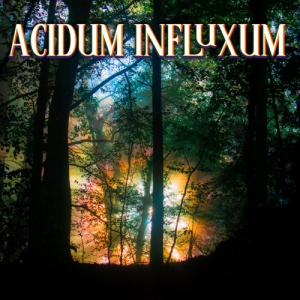 VA - Acidum Influxum