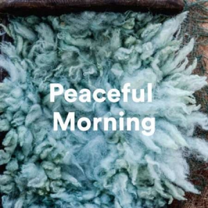 VA - Peaceful Morning