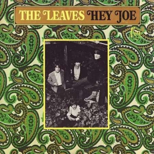 The Leaves - Hey Joe