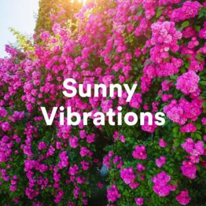 VA - Sunny Vibrations