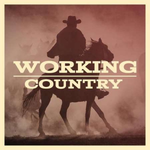 VA - Working Country