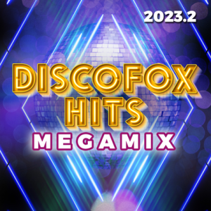 VA - Discofox Hits Megamix [02]