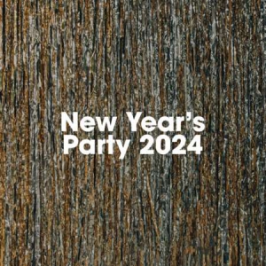 VA - New Years Party 2024