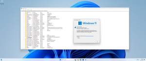Microsoft Windows 11 [10.0.22631.3447], Version 23H2 (Updated April 2024) -    Microsoft MSDN [En]