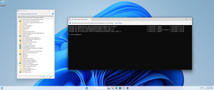 Microsoft Windows 11 [10.0.22631.3447], Version 23H2 (Updated April 2024) -    Microsoft MSDN [En]