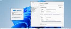Microsoft Windows 11 [10.0.22631.3447], Version 23H2 (Updated April 2024) -    Microsoft MSDN [Ru]