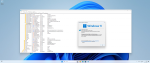 Microsoft Windows 11 [10.0.22631.3447], Version 23H2 (Updated April 2024) -    Microsoft MSDN [Ru]
