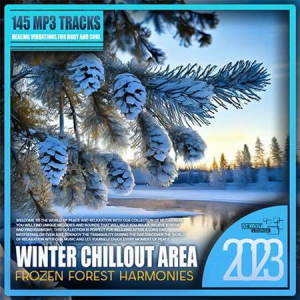 VA - Winter Chillout Area