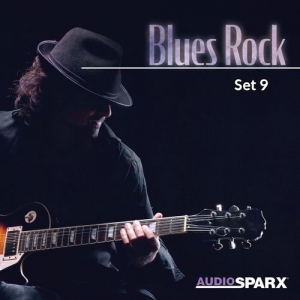 VA - Blues Rock, Set 9