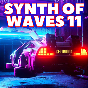 VA - Synth of Waves 11
