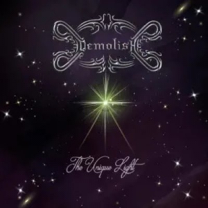 Demolish - The Unique Light