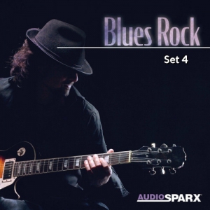 VA - Blues Rock, Set 4