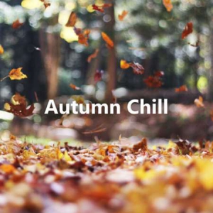 VA - Autumn Chill