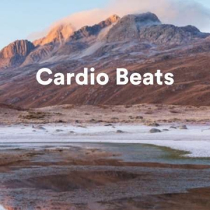 VA - Cardio Beats