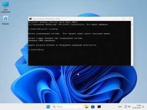 Windows 11 23H2 (22631.3007) x64 (3in1) by Brux [Ru]
