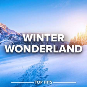 VA - Winter Wonderland