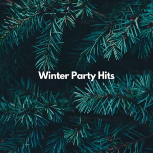 VA - Winter Party Hits
