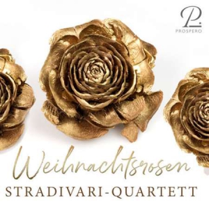 Stradivari Quartett - Weihnachtsrosen