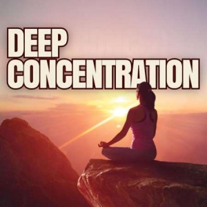 VA - Deep Concentration
