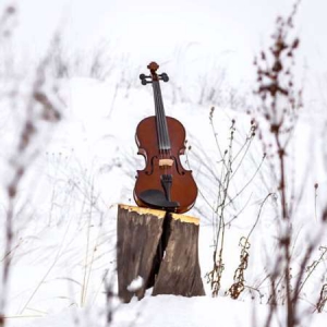 VA - Classical January: Mozart, Bach & More