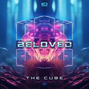 Beloved - The Cube
