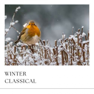 VA - Winter Classical