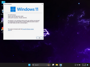 Windows 11 PRO 23H2 22631.3447 Update 8 by Ghost Spectre x64 [En]