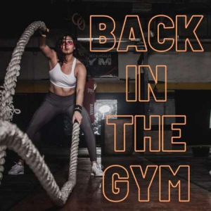 VA - Back In The Gym