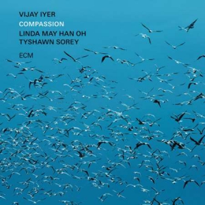 Vijay Iyer - Compassion 