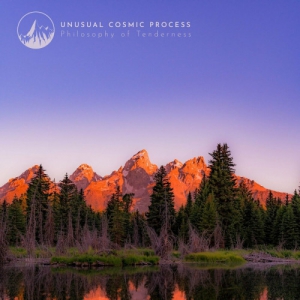  Unusual Cosmic Process - Philosophy of Tenderness [EP]