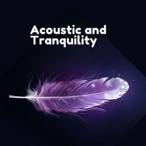  VA - Acoustic And Tranquility