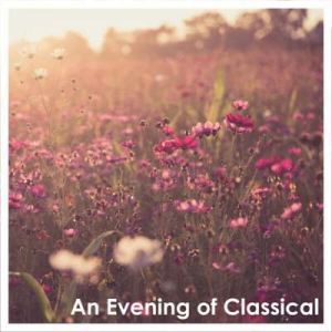  VA - An Evening Of Classical: Mozart