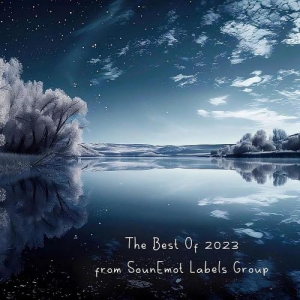  VA - The Best of 2023 from Sounemot Labels Group