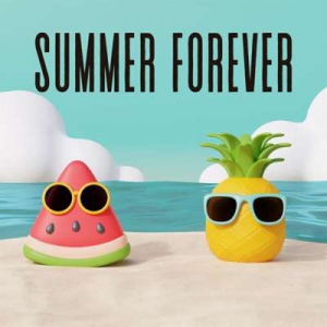  VA - Summer Forever
