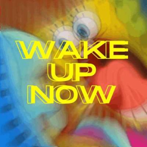  VA - Wake Up Now