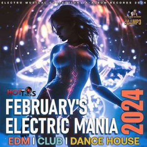  VA - February's Electric Mania