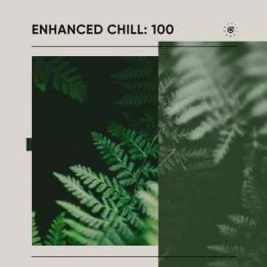  VA - Enhanced Chill: 100