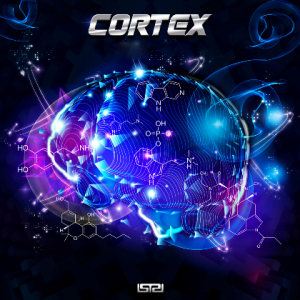  VA - Cortex