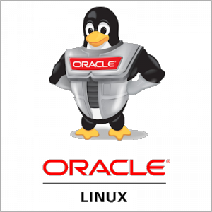 Oracle Linux 9.3 [x64] 3xDVD