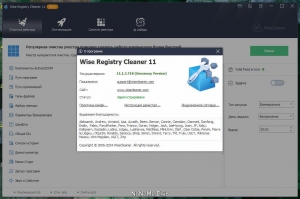 Wise Registry Cleaner Pro 11.1.3 ( Giveaway) [Multi/Ru]