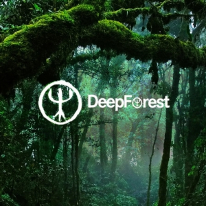  Deep Forest - Studio Albums and Projects [Remastered]