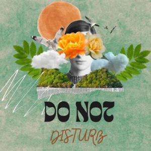  VA - Do Not Disturb