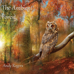  Andy Rogers - The Ambient Forest