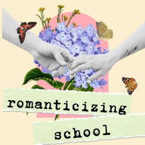  VA - Romanticizing School