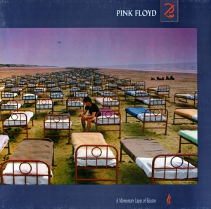  Pink Floyd - A Momentary Lapse of Reason [Vinyl-Rip]