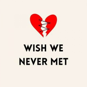  VA - Wish We Never Met