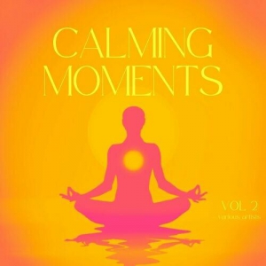  VA - Calming Moments, Vol. 2