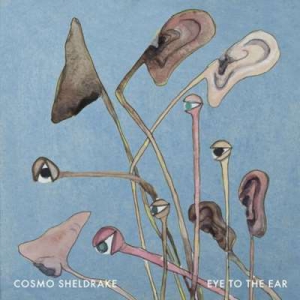  Cosmo Sheldrake - Eye To The Ear